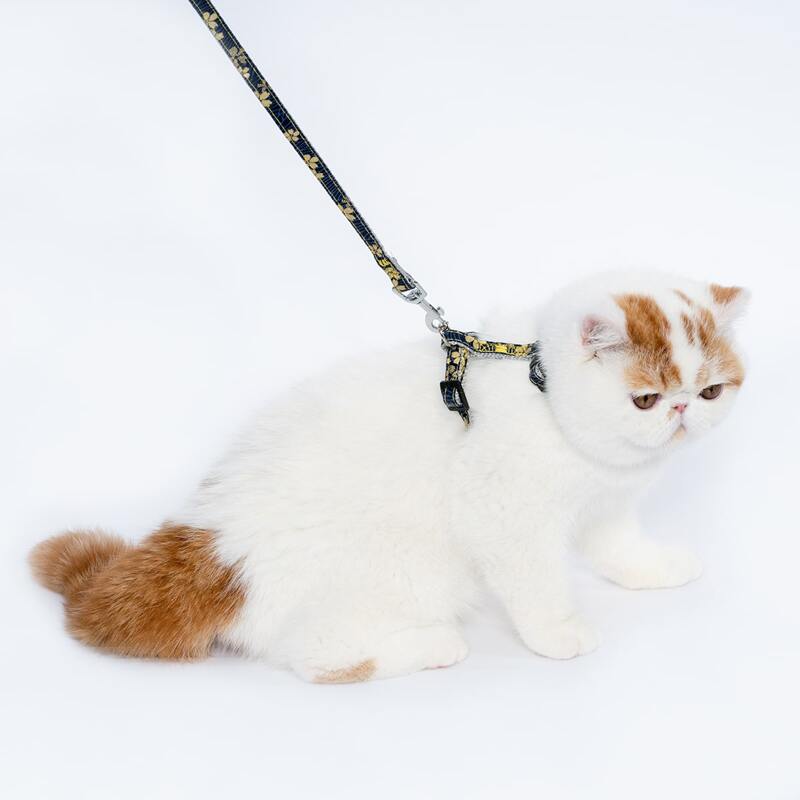 

1pc Adjustable Harness & 1pc Cat Leashes, Gold
