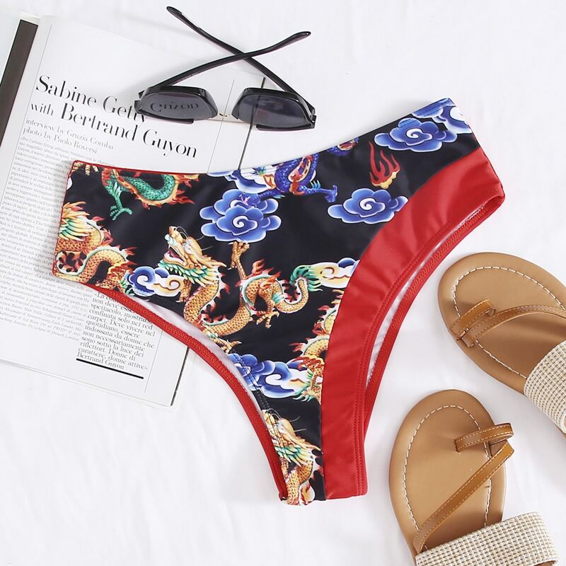 

Colorblock Dragon Print Bikini Bottom, Multicolor