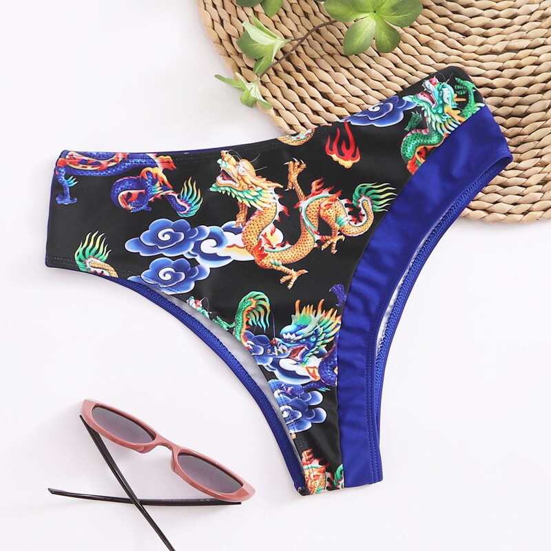 

Colorblock Dragon Print Bikini Bottom, Multicolor