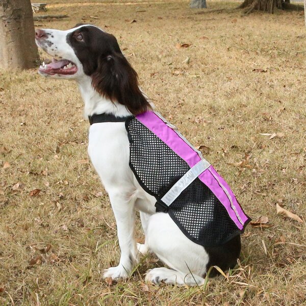 

1pc Contrast Mesh Dog Vest Harness, Purple