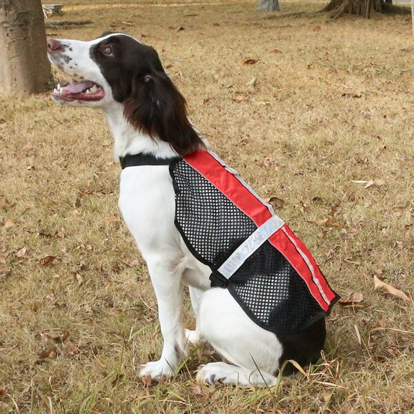 

1pc Contrast Mesh Dog Vest Harness, Red