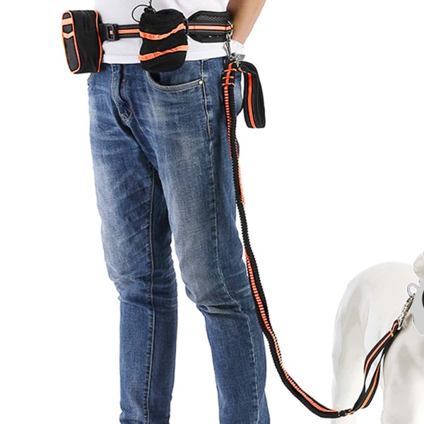 

1pc Dog Leash & 1pc Water Cup Bag & 1pc Key Case & 1pc Belt, Orange
