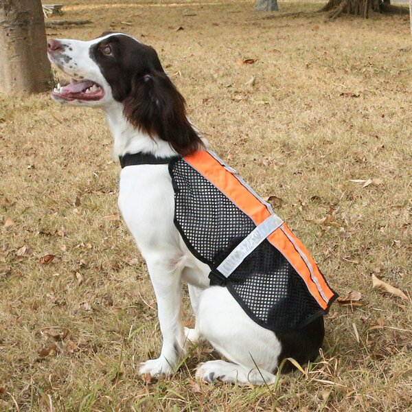 

1pc Contrast Mesh Dog Vest Harness, Orange