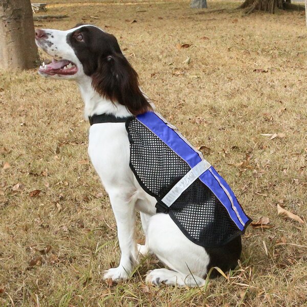 

1pc Contrast Mesh Dog Vest Harness, Blue