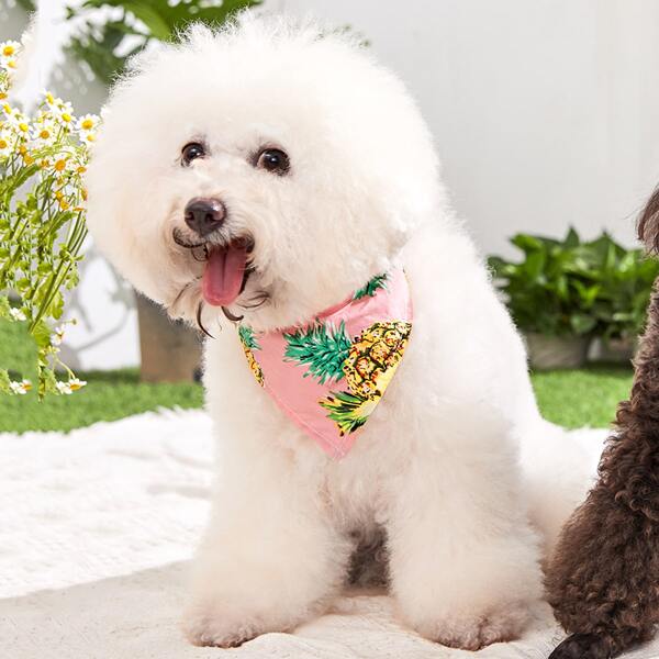 

1pc Pineapple Print Dog Bib, Pink