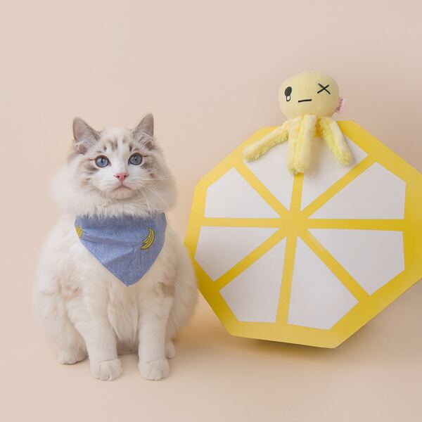 

1pc Banana Cat Collar, Blue