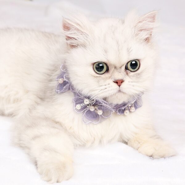 

1pc Faux Pearl Decor Lace Flower Cat Necklace, Purple