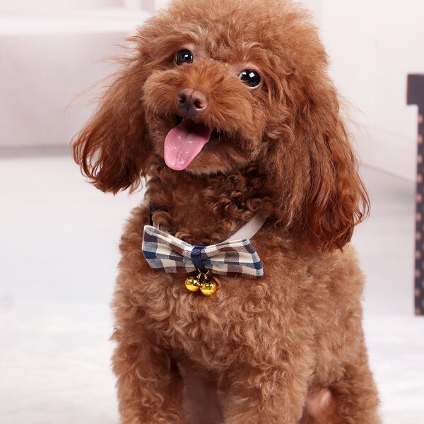 

1pc Plaid Bow Dog Collar, Light grey