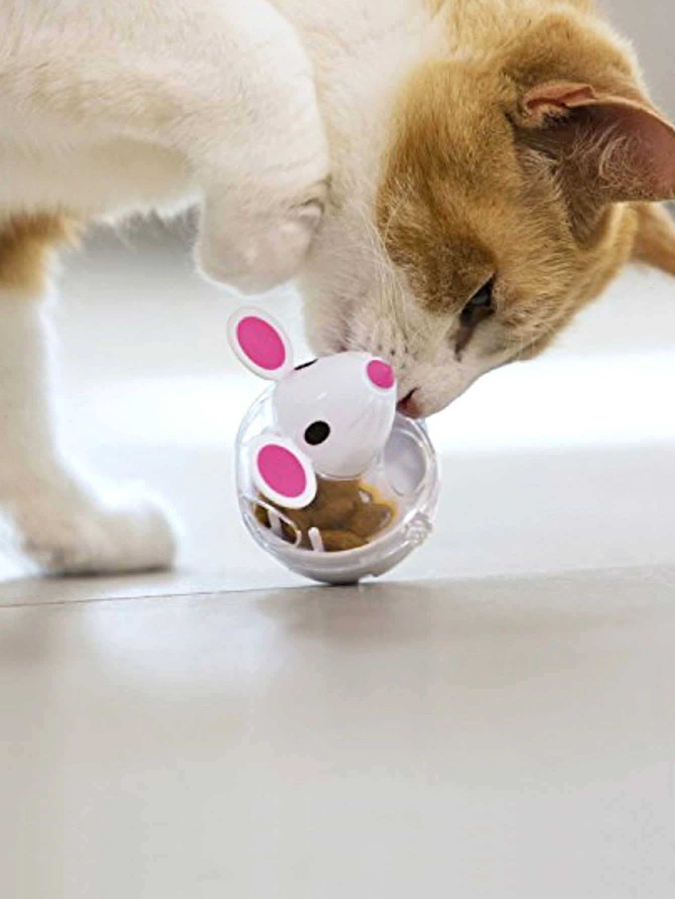 cat food toy