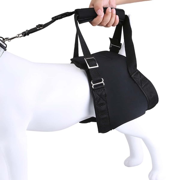 

1pc Dog Auxiliary Belt & 1pc Leash, Black