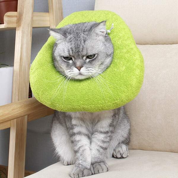 

1pc Cat Elizabeth Collar, Green