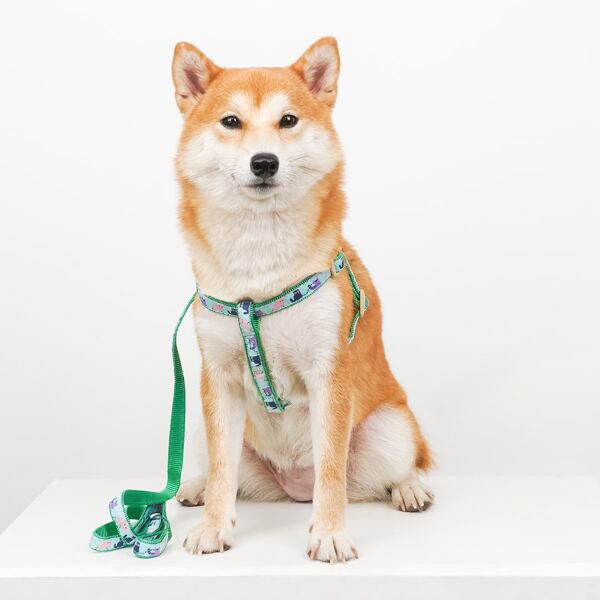 

1pc Dog Cartoon Graphic Harness With 1pc Leash, Multicolor