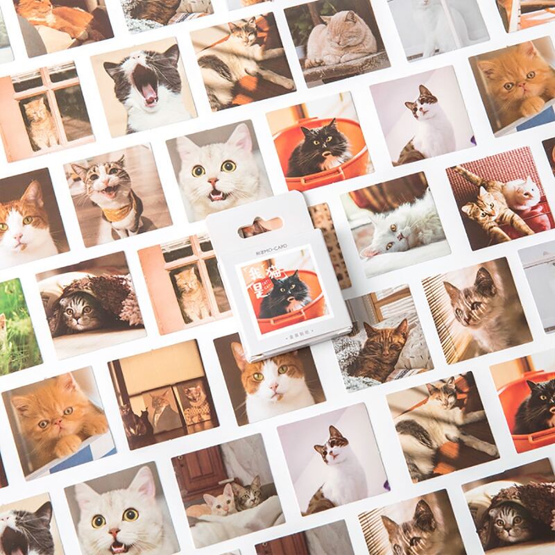 

46pcs Cat Print Sticker, Multicolor