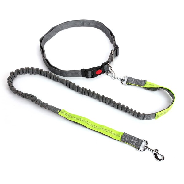 

1pc Dog Leash & 1pc Waist Belt, Multicolor