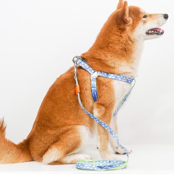 

1pc Dog Harness & 1pc Dog Leash, Multicolor