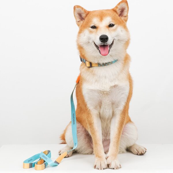 

1pc Dog Collar & 1pc Dog Leash, Multicolor