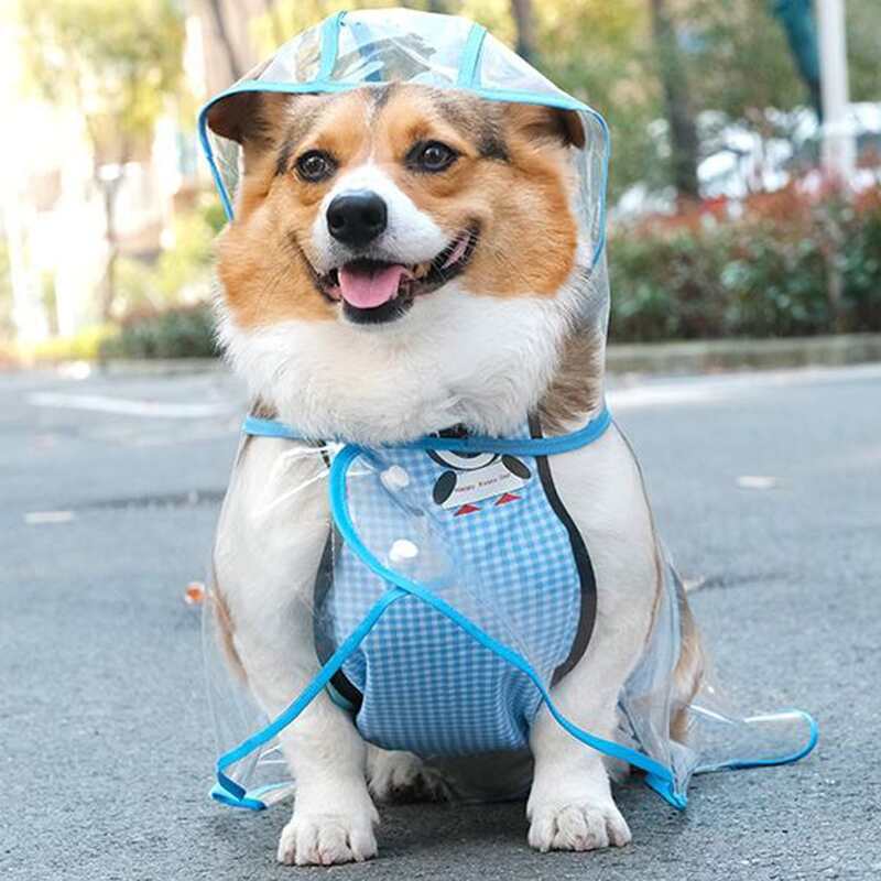 

1pc Clear Dog Raincoat
