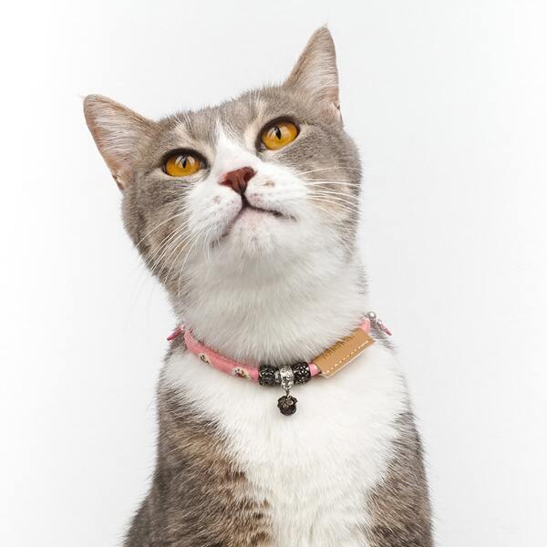 

Кошачий мультипликационный ошейник 1шт, Многоцветный