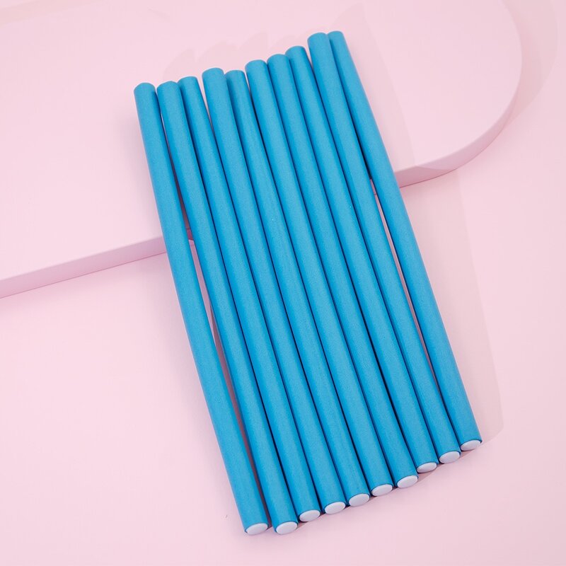 

10pcs Sponge Hair Roller, Blue