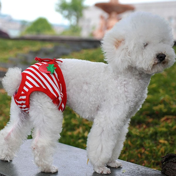 

1pc Dog Sanitary Pants, Red