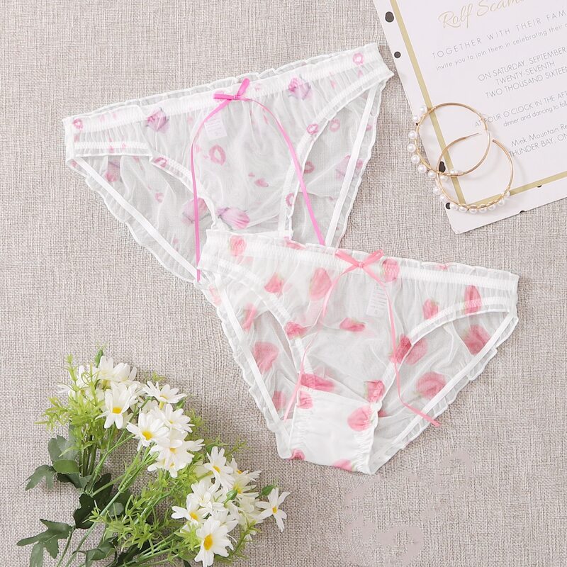 

2pack Floral Sheer Mesh Panty Set, White
