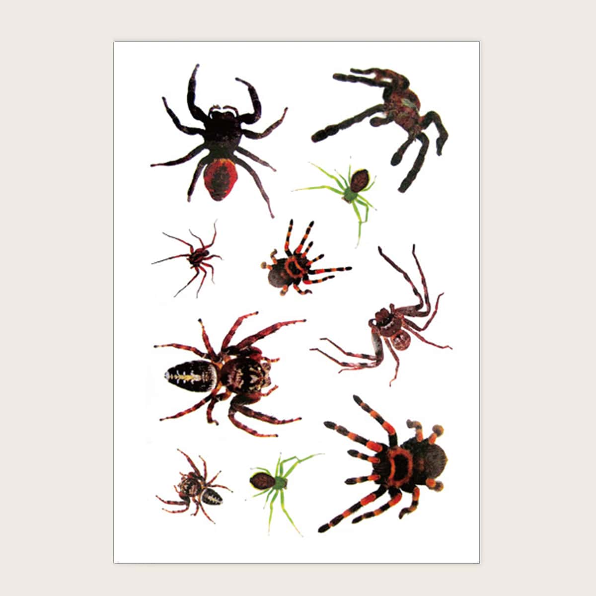 

1sheet Halloween Spider Pattern Tattoo Sticker, Multicolor