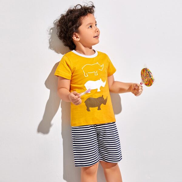 

Toddler Boys Cartoon Graphic Tee With Striped Shorts, Multicolor
