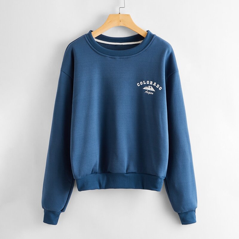 

Letter Graphic Drop Shoulder Sweatshirt, Blue