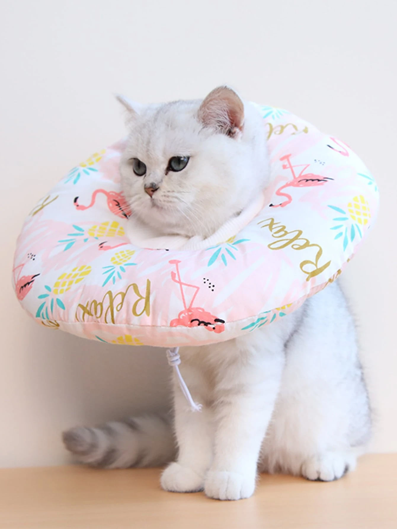 1 Piece Collerette Veterinaire Pour Chat A Imprime Mode En Ligne Shein France