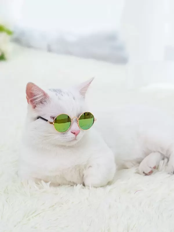 1 Piece Lunettes De Soleil A Verres Rondes Pour Chat Mode En Ligne Shein France