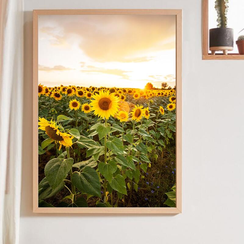 

Sunflower Print Wall Painting Without Frame, Multicolor