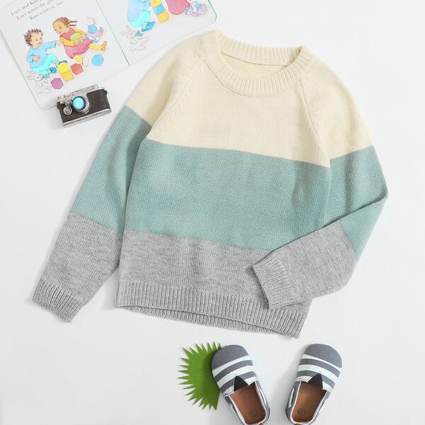 

Boys Color-block Raglan Sleeve Sweater, Multicolor