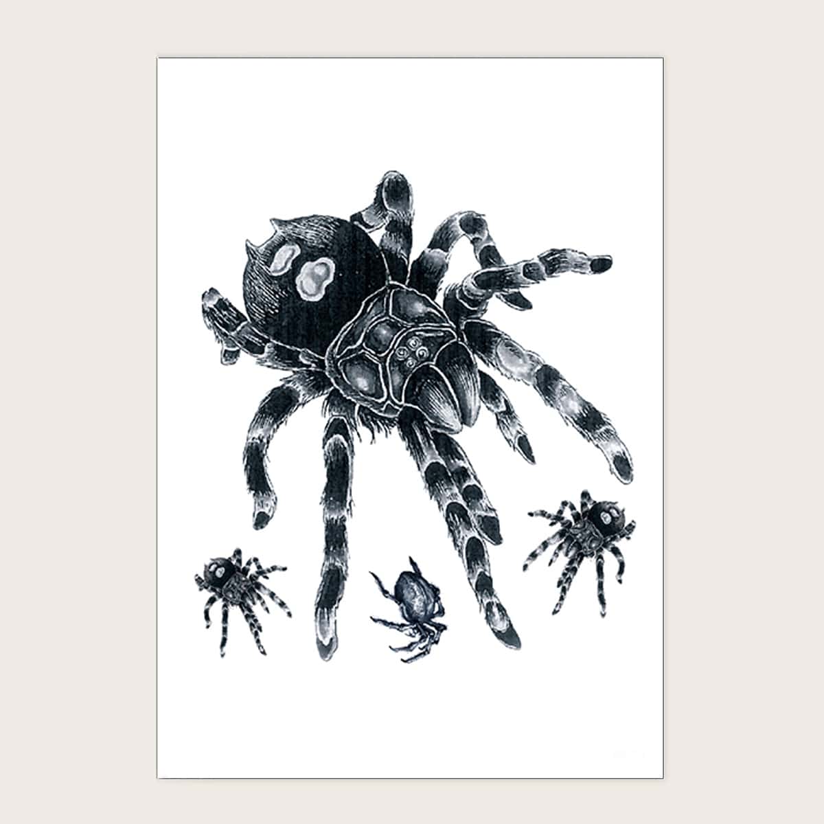 

1sheet Spider Pattern Tattoo Sticker, Black