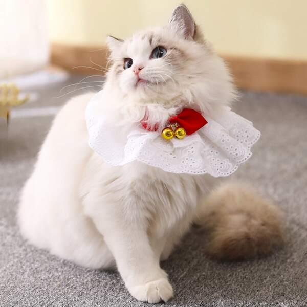 

1pc Eyelet Embroidered Cat Collar, Multicolor