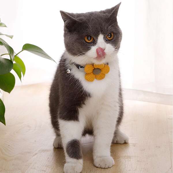 

1pc Flower Decor Cat Collar, Yellow
