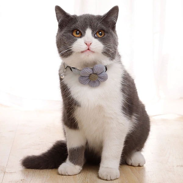 

1pc Flower Decor Cat Collar, Grey