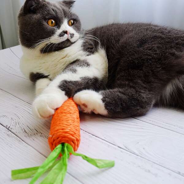 

1pc Carrot Shaped Cat Toy, Orange