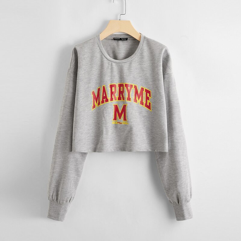 

Drop Shoulder Letter Graphic Crop Sweatshirt, Grey