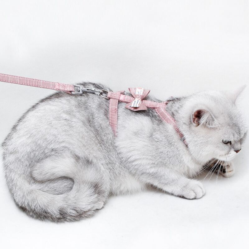 

1pc Cat Harness With 1pc Leash, Pink