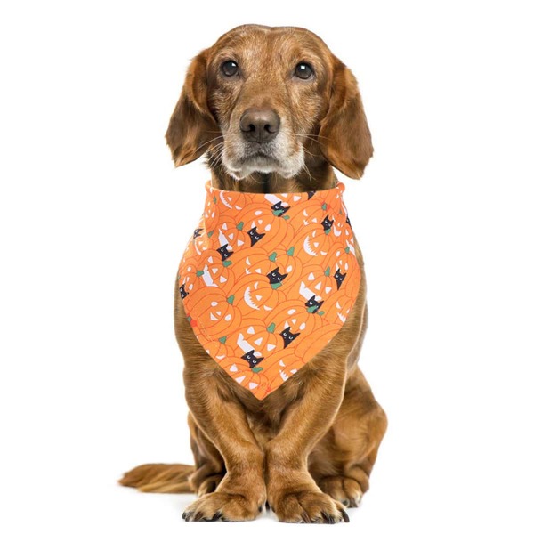 

1pc Dog Halloween Pumpkin Pattern Triangle Bib, Multicolor