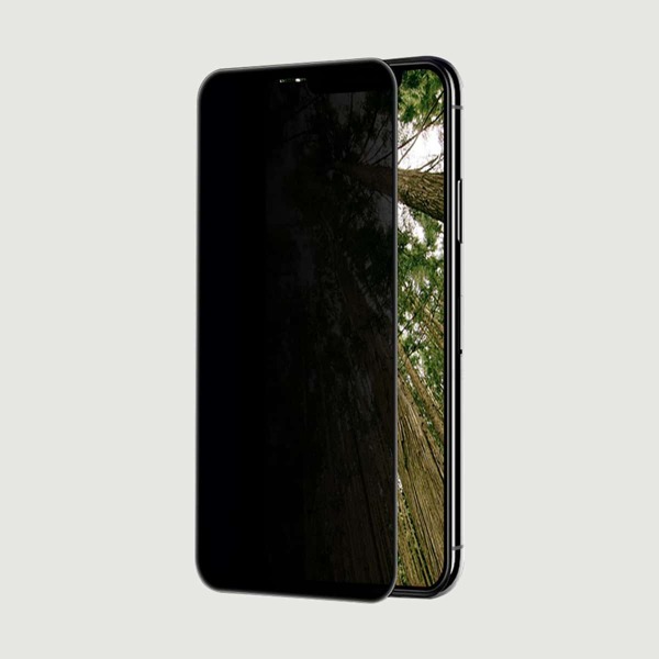 

1шт пленка из закаленного стекла защиты конфиденциальности для экран iPhone, Чёрный