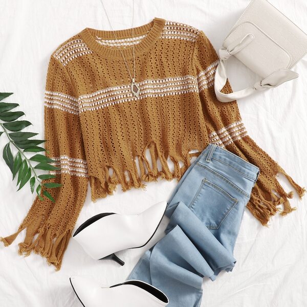 

Fringe Hem Pointelle Knit Striped Crop Sweater, Brown