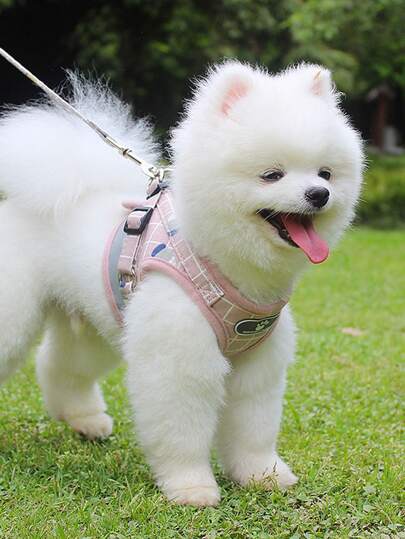 1 pieza chaleco reflexivo de cuadros con 1 pieza correa - Suministros para mascotas
