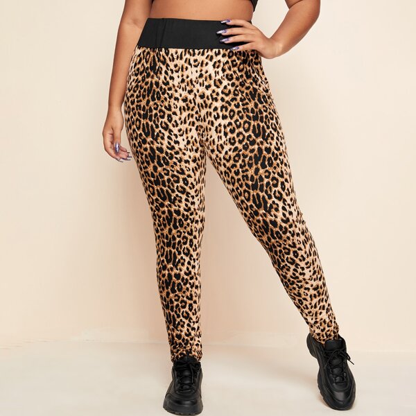 

Plus Leopard Print Wide Waistband Leggings, Multicolor