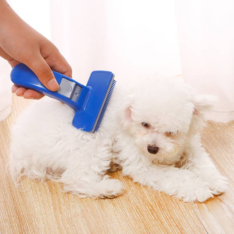 

1pc Dog Hair Removal Massage Comb, Blue