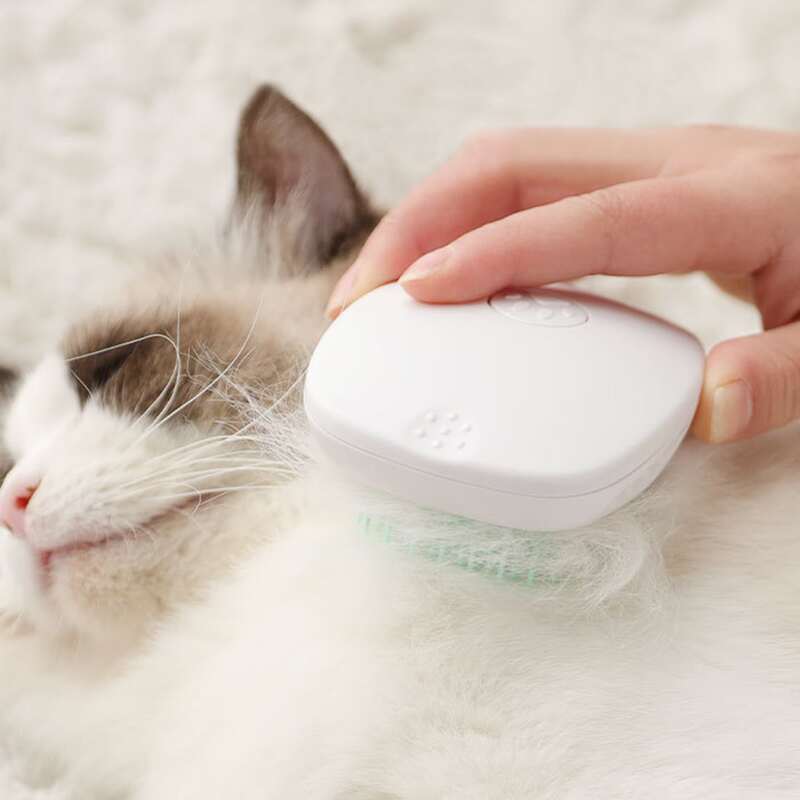 

1pc Cat Hair Removal Comb, Green