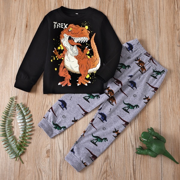 

Toddler Boys Cartoon Dinosaur & Letter Graphic Sweatshirt With Sweatpants, Multicolor
