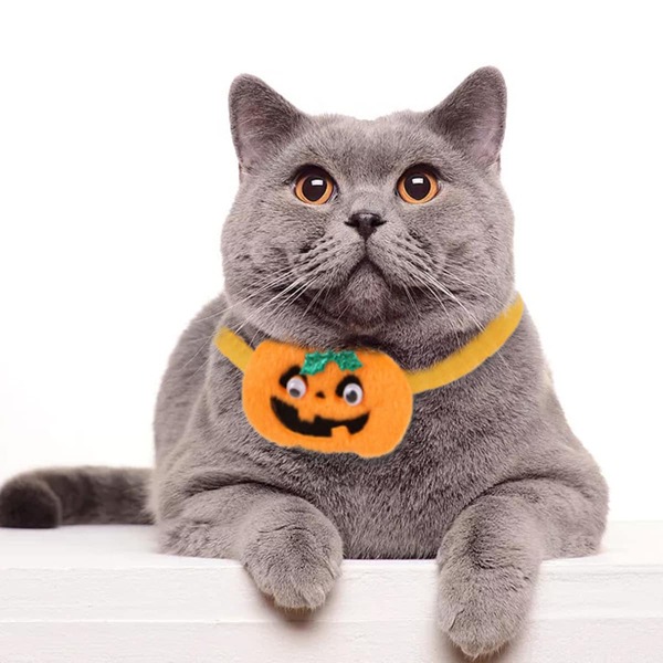 

1pc Cat Halloween Pumpkin Decor Collar, Yellow