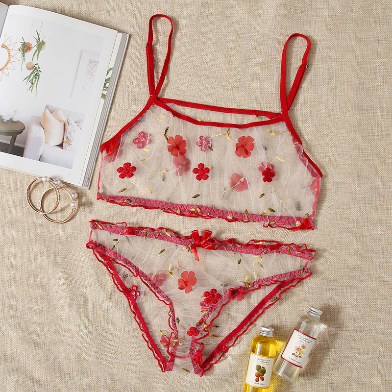 

Floral Embroidery Sheer Mesh Lingerie Set, Red