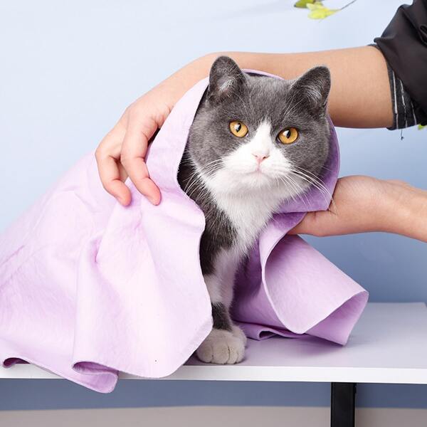 

1pc Cat Quick Dry Absorbent Towel, Purple